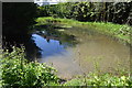 TQ5738 : Small pond on Tunbridge Wells Common by N Chadwick
