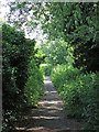 Footpath by the Dead River east of Approach Road