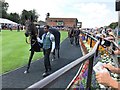 TL6161 : Parade ring at The July Course, Newmarket by Richard Humphrey
