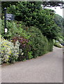 Signpost east of Cobb Road, Lyme Regis