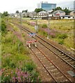 Railway line at Corkerhill