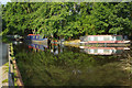 Montgomery Canal, Maesbury