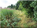 Little used and consequently overgrown footpath at Ashenhurst, Huddersfield