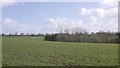 Arable land near Highley