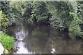 SK2762 : River Derwent. by steven ruffles