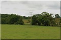 Grass field west of Weldon