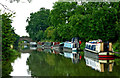 Grand Union Canal north of Norton in Northamptonshire