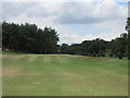 Balbirnie Park Golf Course, 8th hole, Target Park