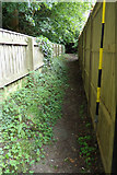 TM3569 : Lovers Lane Footpath to Mill Hill by Geographer