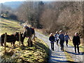 Ger Felin Gwyddil / Near Felin Gwyddil