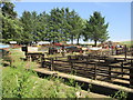 Old farm equipment