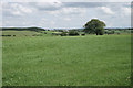 Farmland near Wyllieland