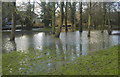 Flooded Jubilee Park, Chipping Sodbury, Gloucestershire 2014