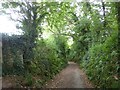 Avon Estuary Walk in South Efford