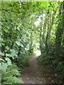 Path around Stadbury Farm