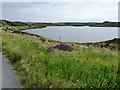 Loch Shobhail, beside the A859