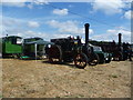 Traction engines at Barton under Needwood Steam Rally, 2018