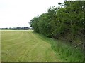 Field and Coaley Wood south of Hetty Pegler