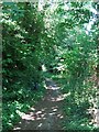 Footpath on Sunburylock Ait