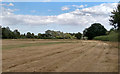 Field near Agricultural College, Writtle