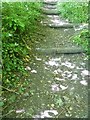 Footpath steps