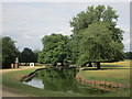 Horse Pond in late afternoon sunshine