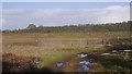 Landfill site, Barnsley