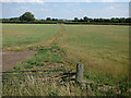 Unsurfaced track across a field 