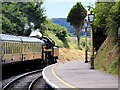 Steam Train Leaving Churston