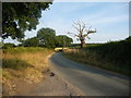 SK0729 : Hobb Lane, heading eastwards from the B5013 by Christine Johnstone