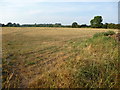 Farmland north of Hobb Lane