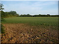 Farmland west of Roper