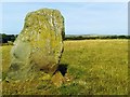 Standing Stone