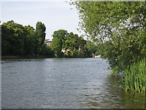 TQ1369 : The River Thames downstream of Platt's Eyot by Mike Quinn