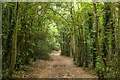 Footpath, The Oaks