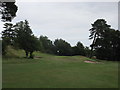 Charleton Golf Course, 5th hole, Pines