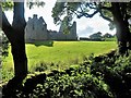 Tolquhon through the Trees