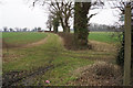 Bridleway near Stoney Ways