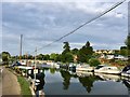 River Medway, East Farleigh