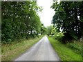 Tree-lined road near Middlesceugh Hall