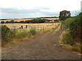SP7685 : Farm track near Braybrooke by Malc McDonald