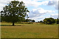 Field north of Holt