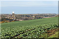 Farmland near Old Durham