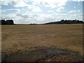 TL8527 : Looking towards Runway No.24 at Earls Colne Airfield by Geographer