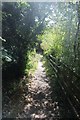 Footpath to Grandpont from Osney Mead