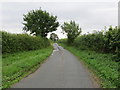 Sandfield Lane near Holme