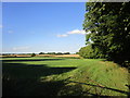 Barely discernible track alongside Old Plantation