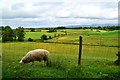 Bancran Townland