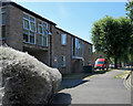 Lichfield Road: shrouded shrubs