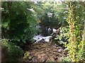 Weir on the River Erme